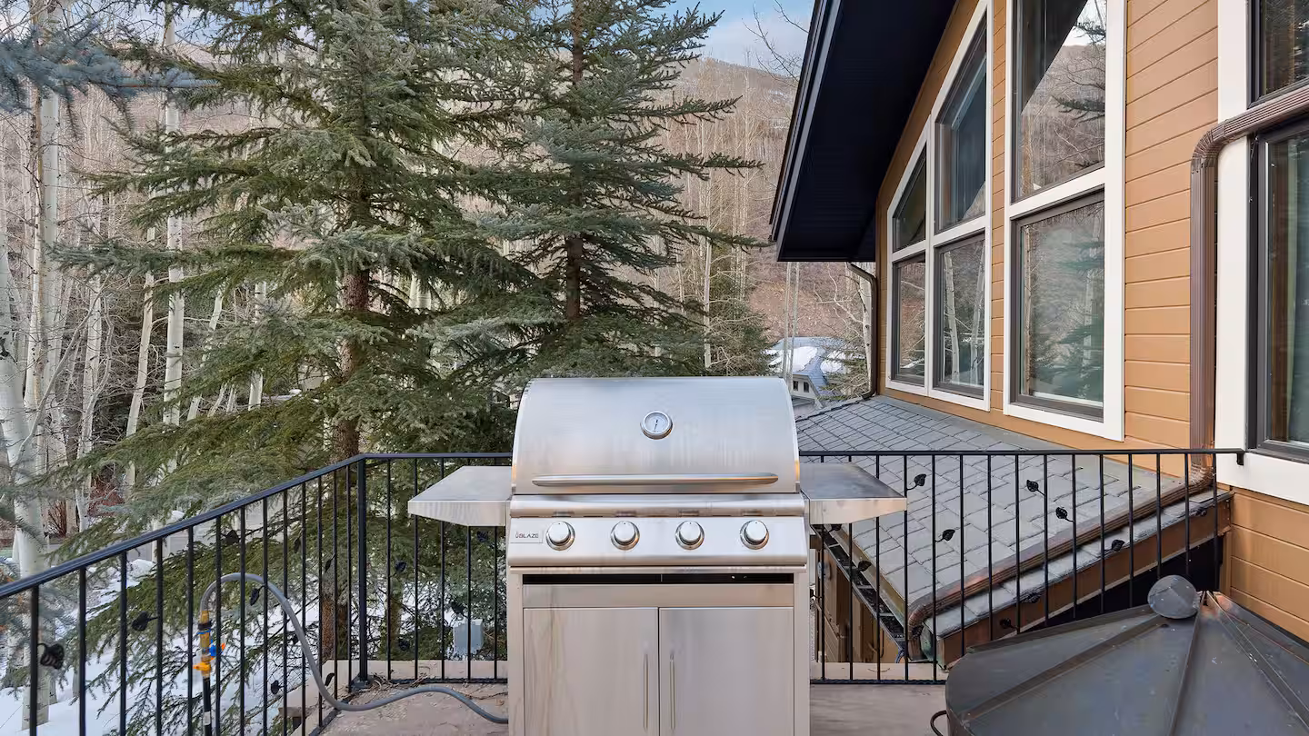 VAIL DREAM photo 5