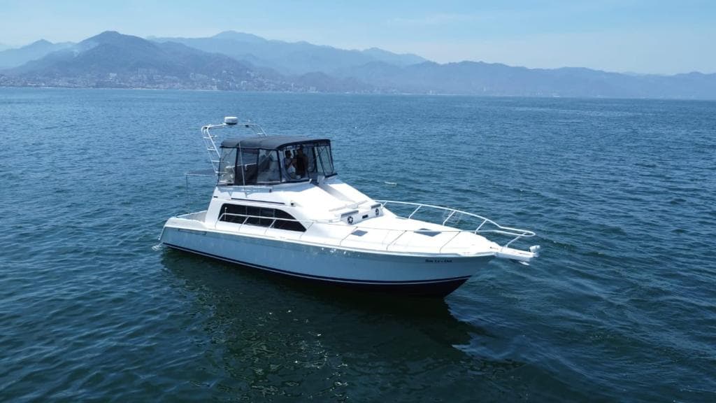 MAINSHIP 43´