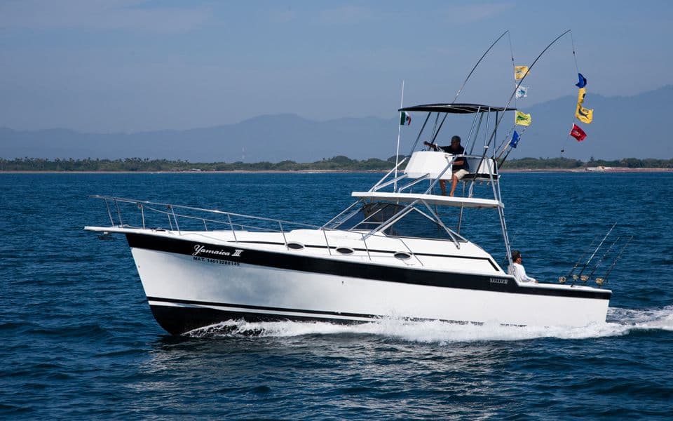ALURA 36´