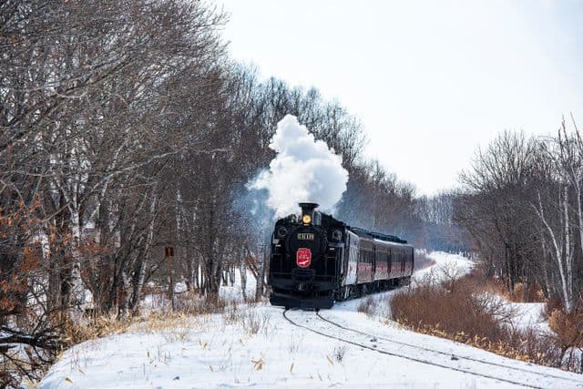 ARCTIC EXPRESS CANADA