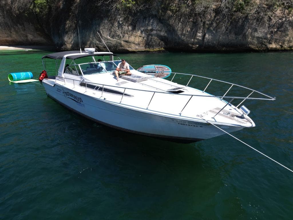 SEA RAY 46´