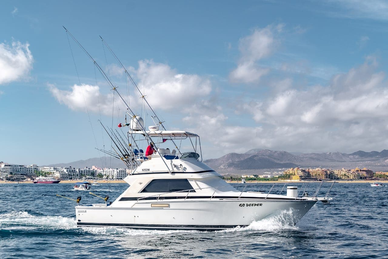 BERTRAM 37’