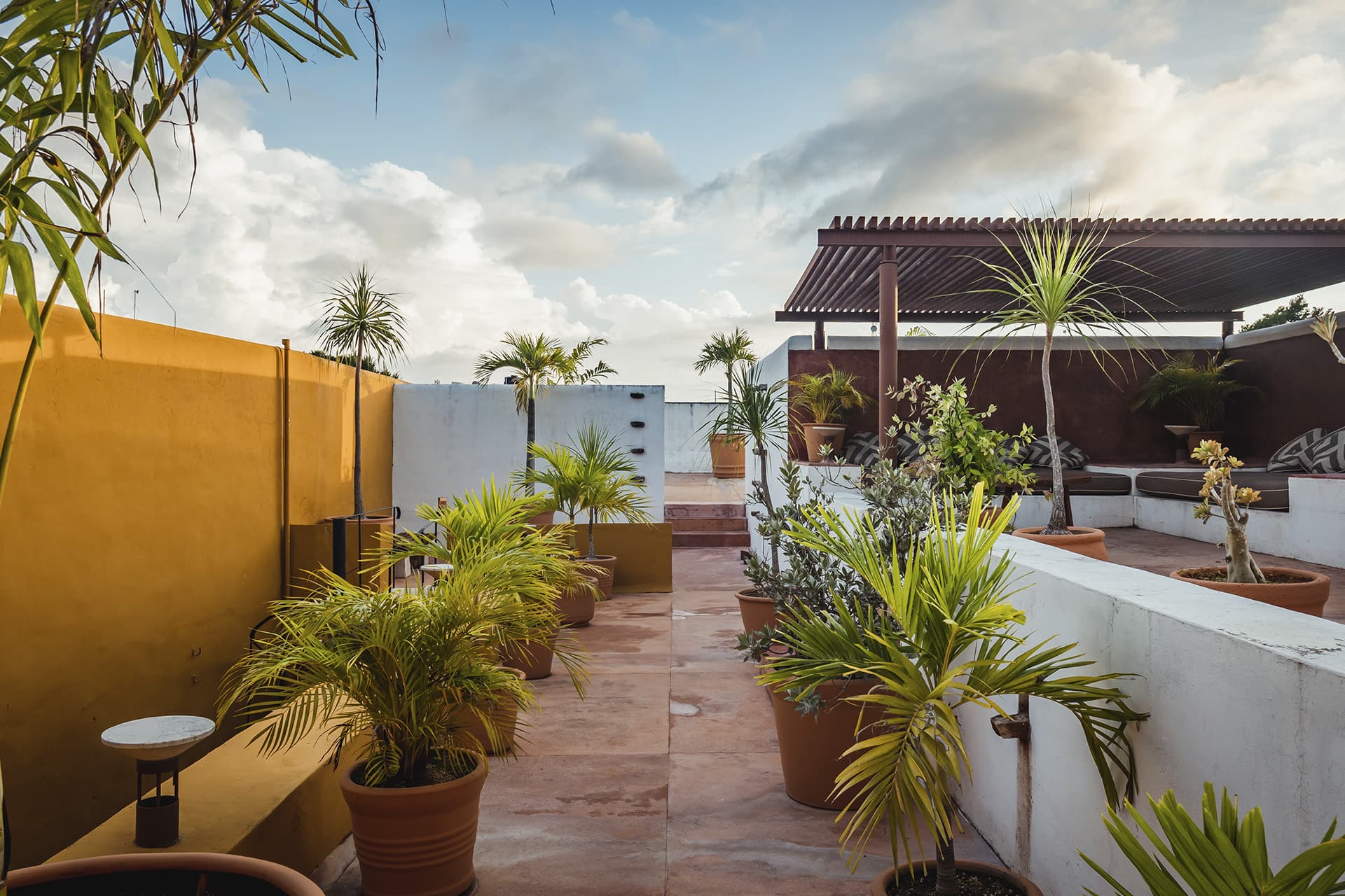 CASA DE LOS ARTISTAS photo 2