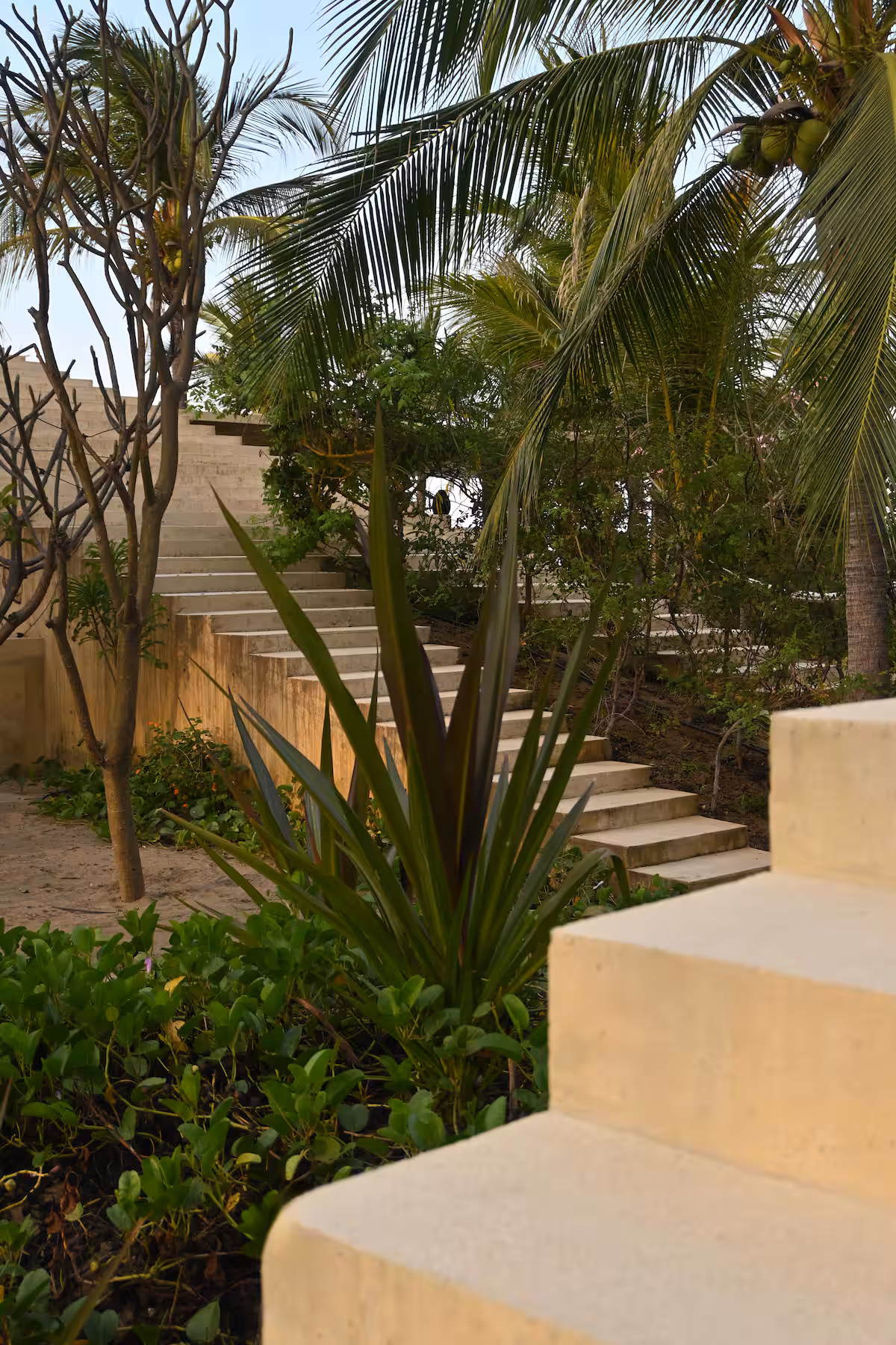 CASA PUA photo 2