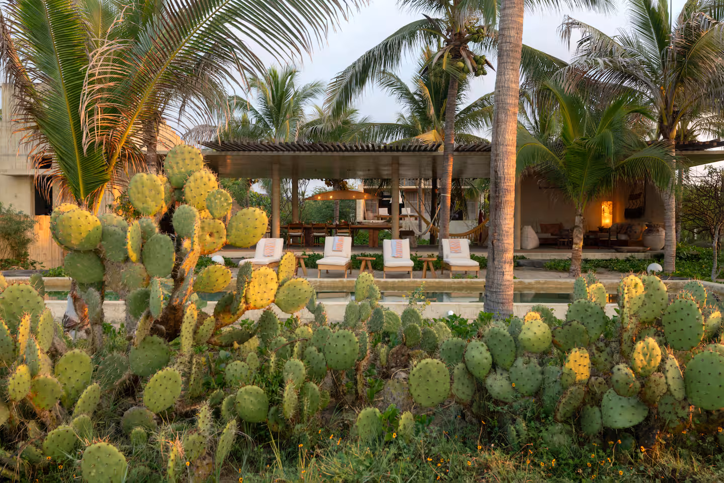 CASA PUA photo 4