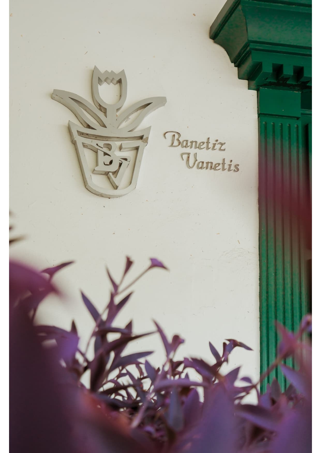 VILLA VANETIZ photo 2