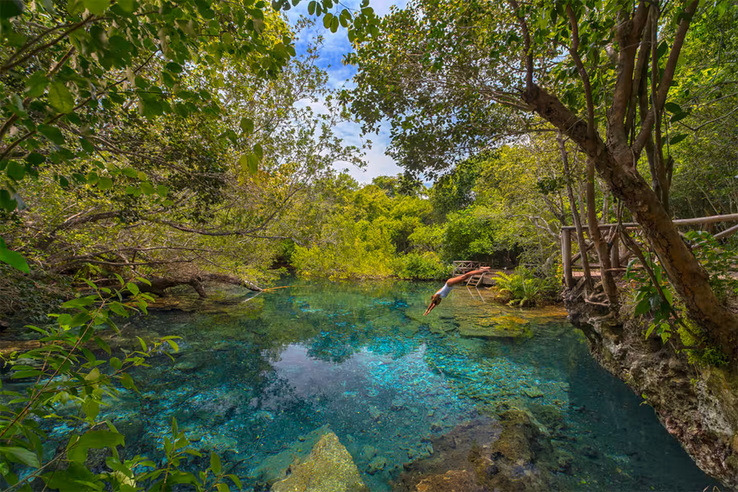 CORALES 50 photo 2