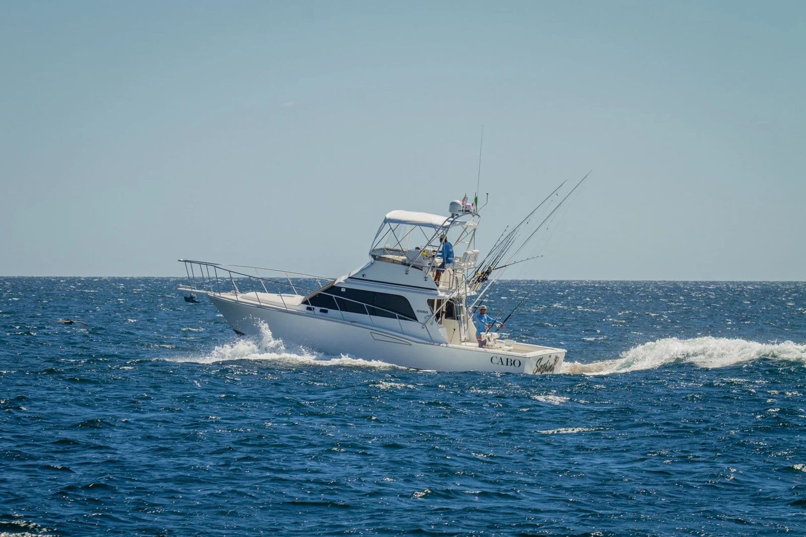 CABO 35' SPORTFISHING CHARTER