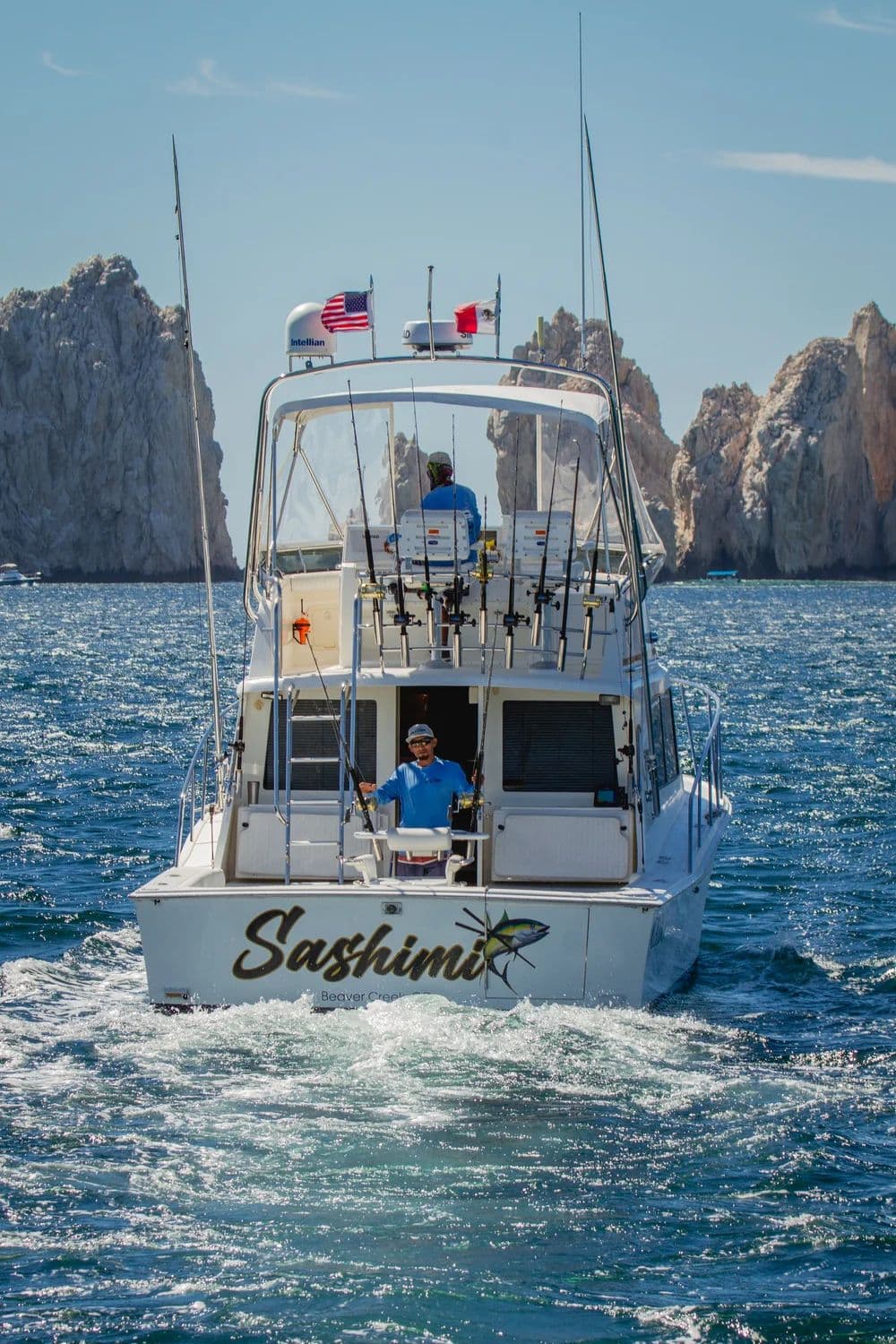CABO 35' SPORTFISHING CHARTER photo 4