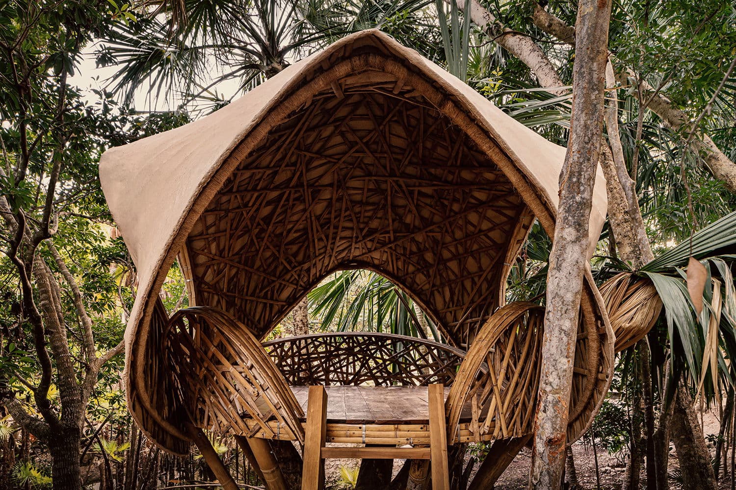 Casa Tropical photo 4