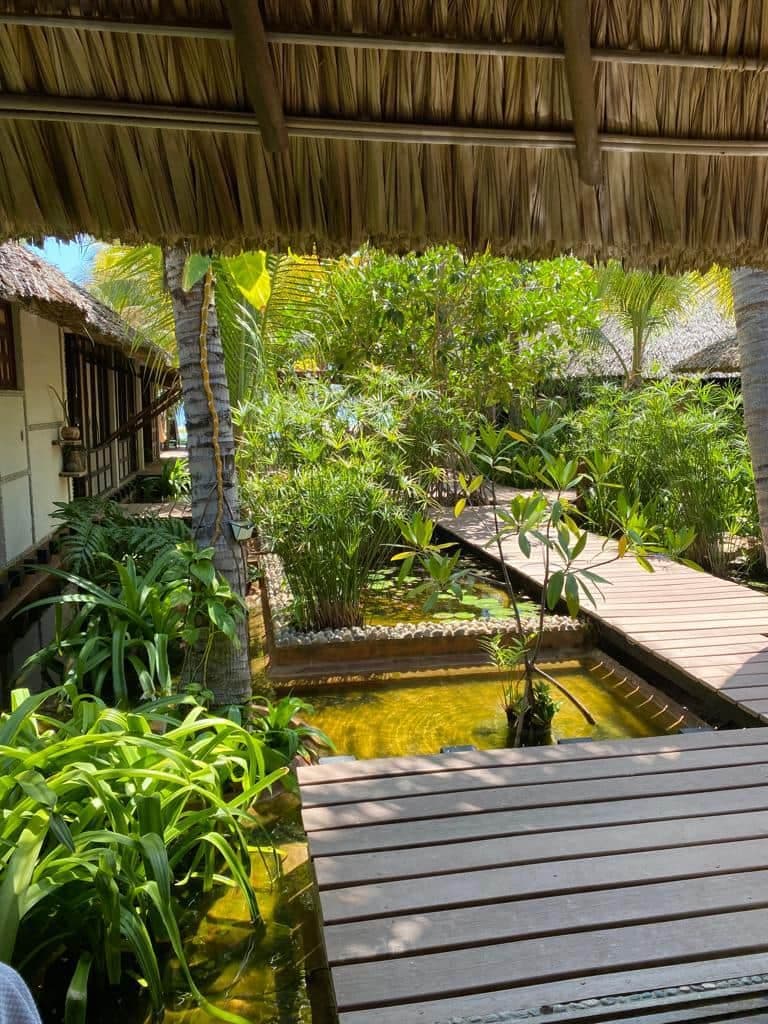 CASA ZEN photo 4