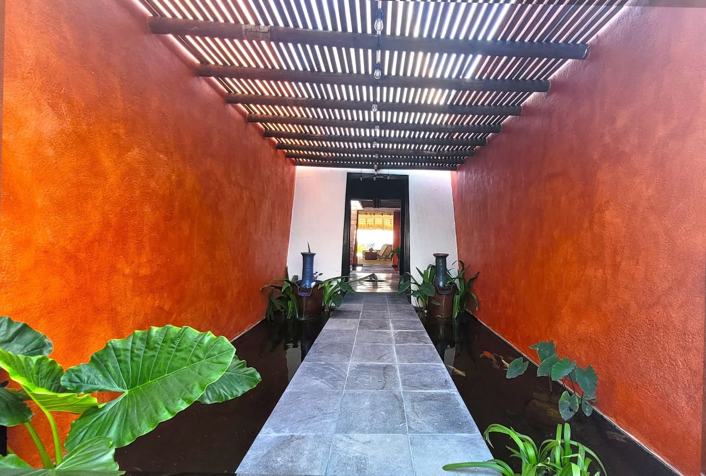CASA OLIVACEA photo 5