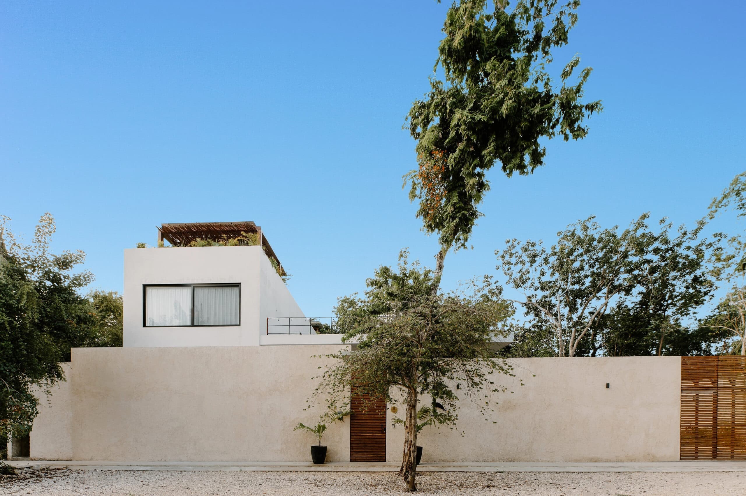 CASA MANATI photo 4
